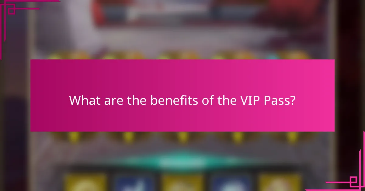 What are the benefits of the VIP Pass?